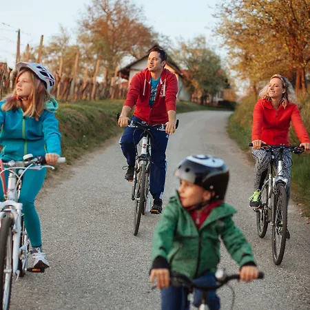 Panonska Vas Daire *