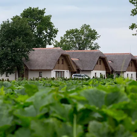 Daire Panonska Vas Moravske-Toplice